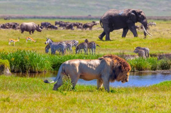 3 Days Maasai Mara Escape